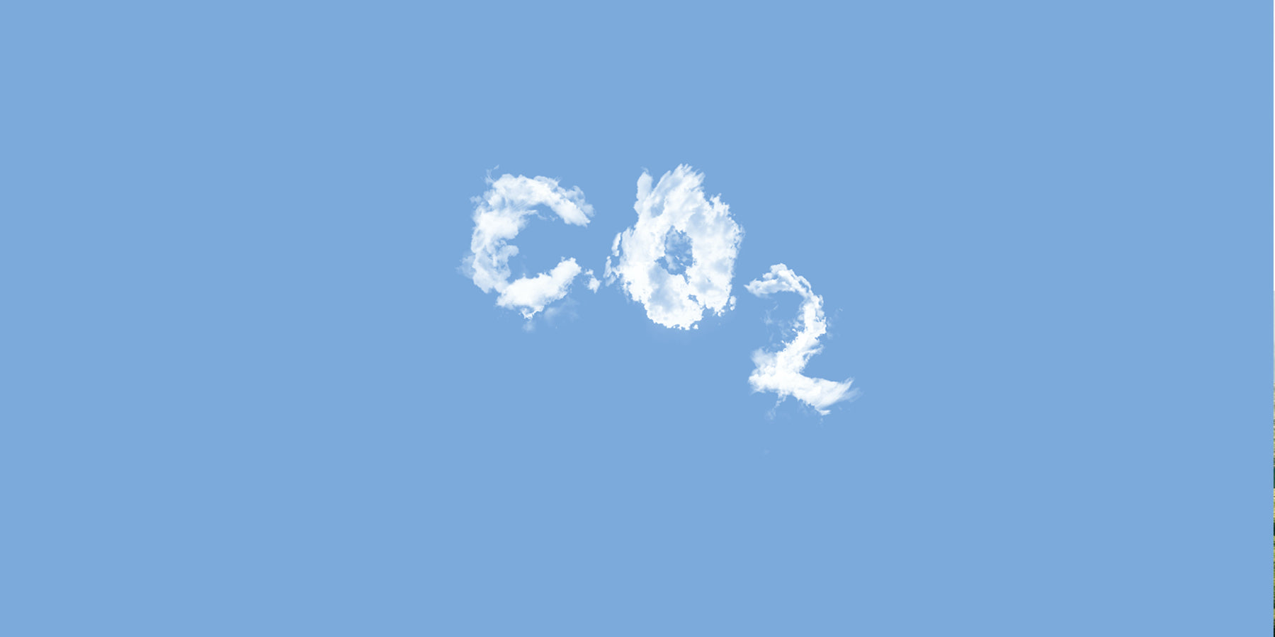 How does a business become Carbon Neutral?