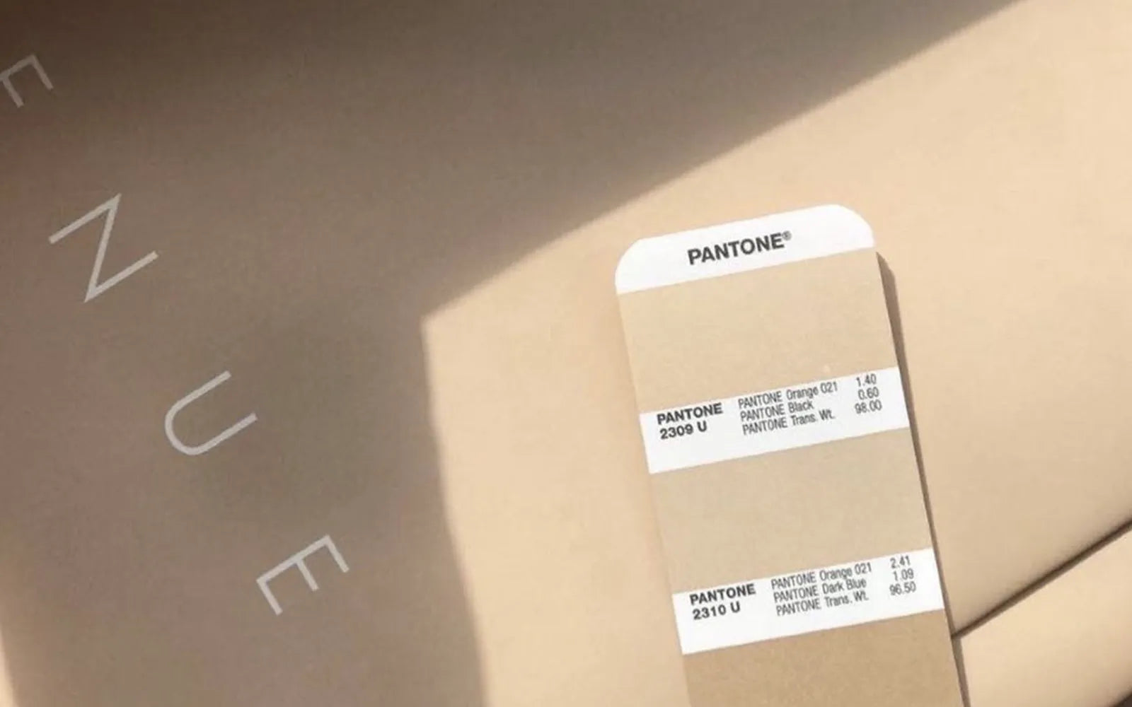 Bubble Insert Custom Compostable Bubble Inserts - Better Packaging Co