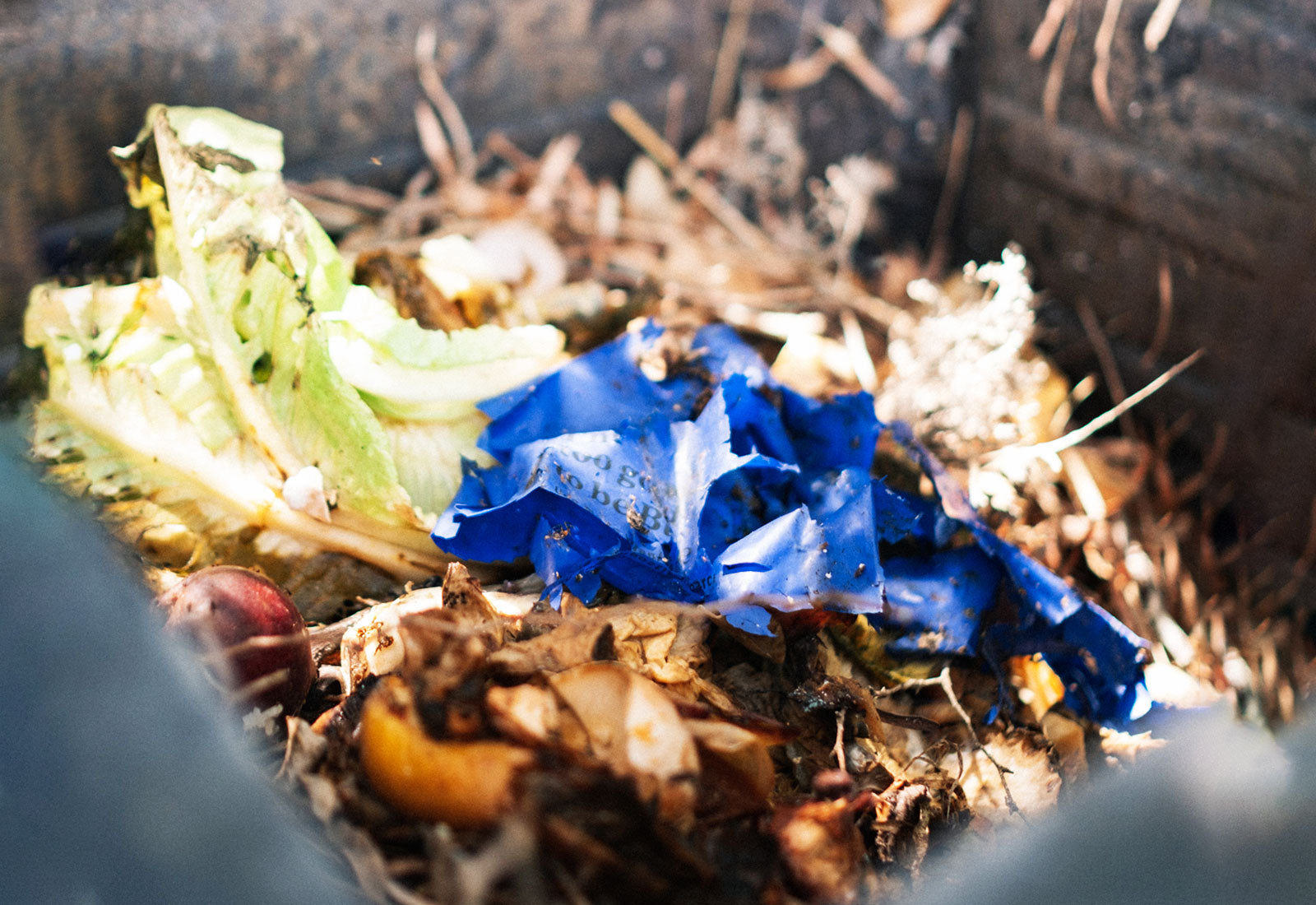 What is Compostable Packaging Better Packaging Co